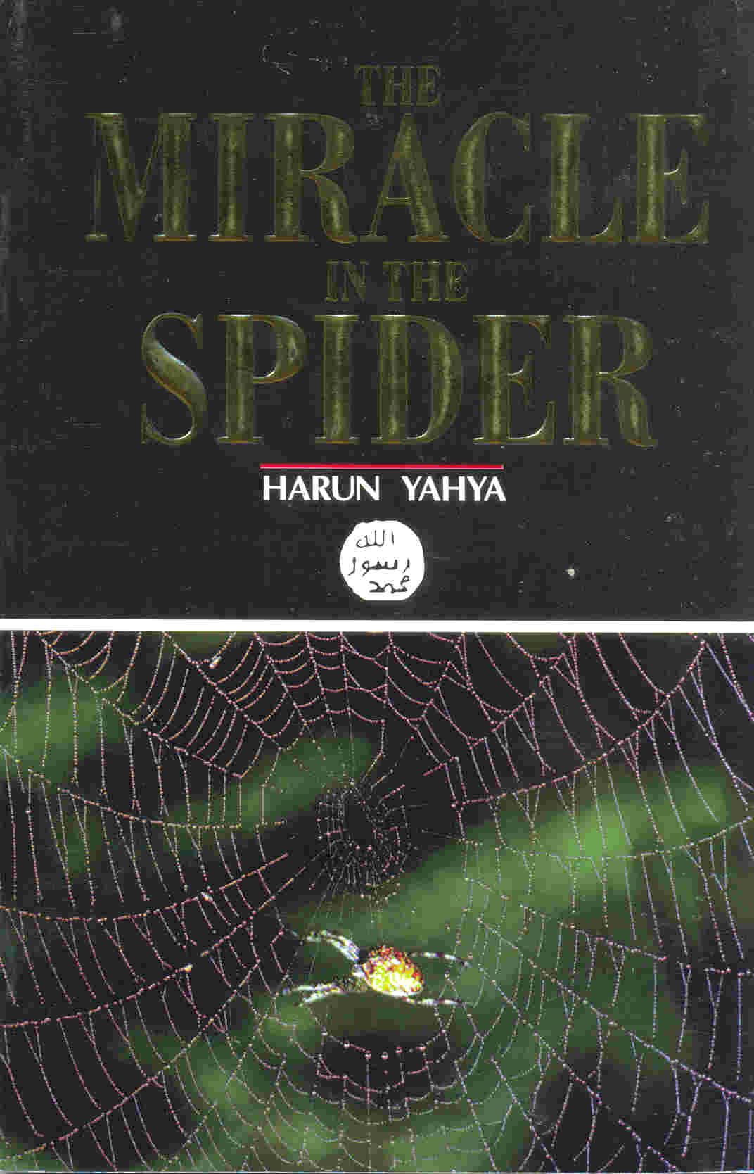 Miracle in the Spider