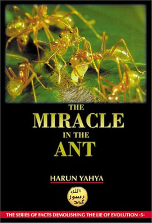 The Miracle In The Ant
