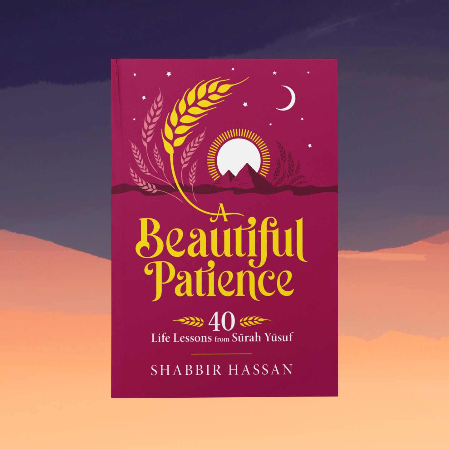 A Beautiful Patience: 40 Life Lessons from Surah Yusuf