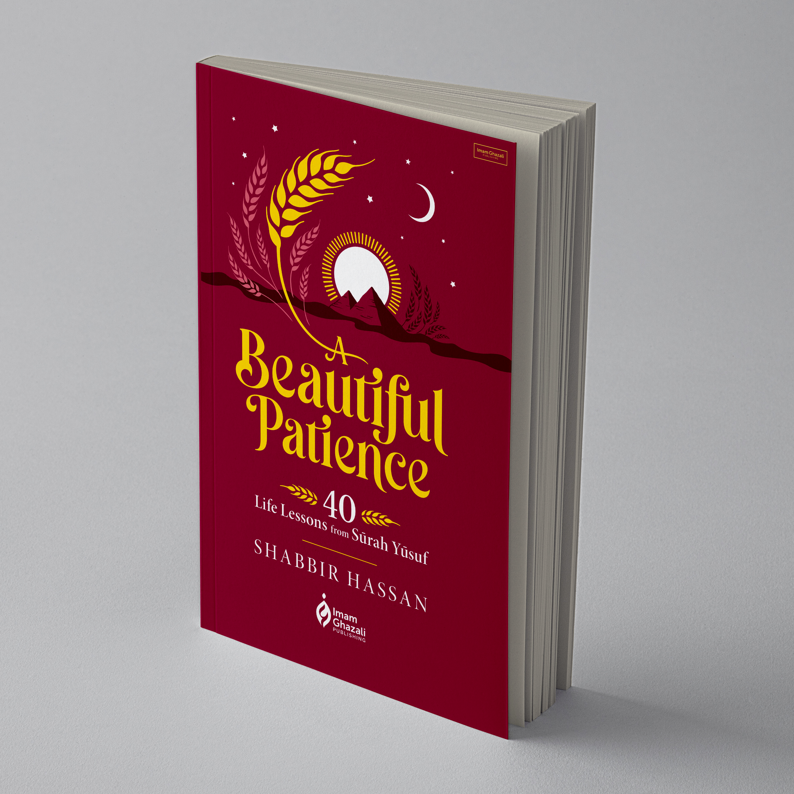 A Beautiful Patience: 40 Life Lessons from Surah Yusuf