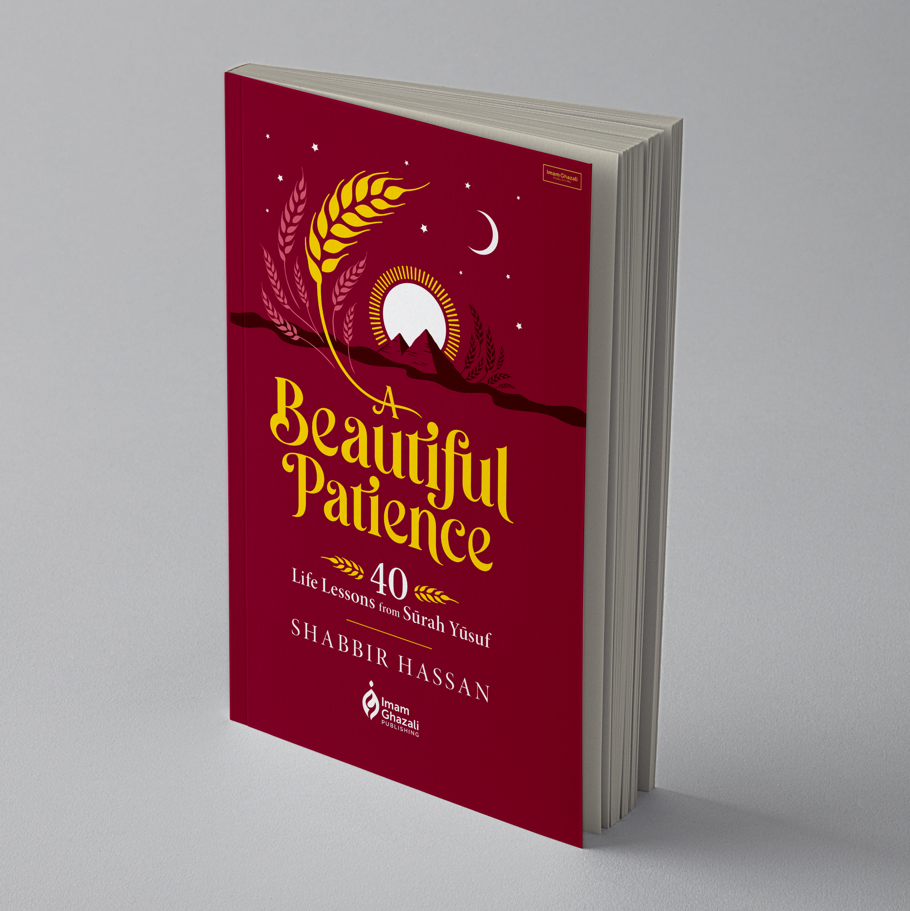 A Beautiful Patience: 40 Life Lessons from Surah Yusuf