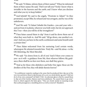 The Meanings of the Inimitable Quran: A Lection-Based Rendering in English
