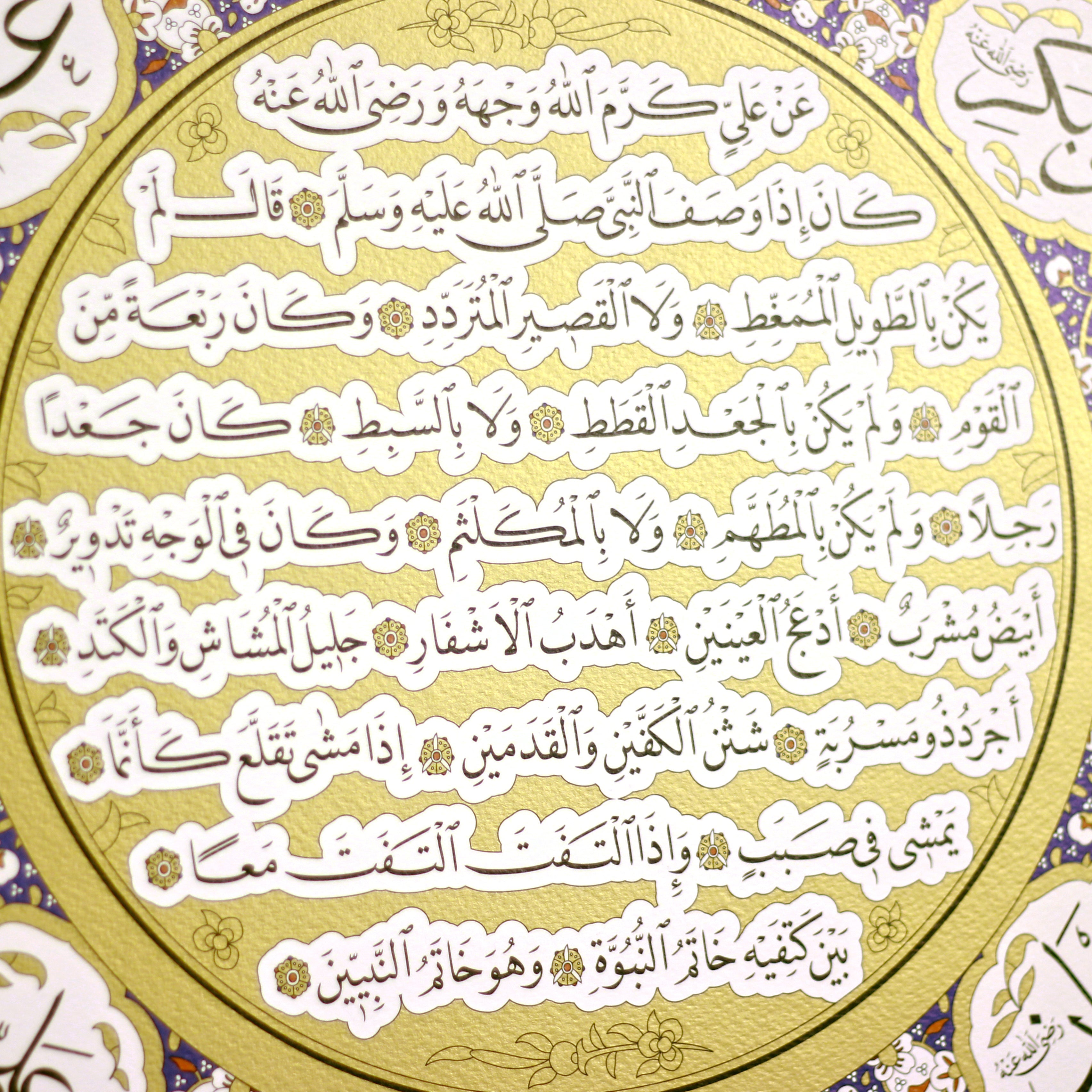 The Noble Hilya Sharif