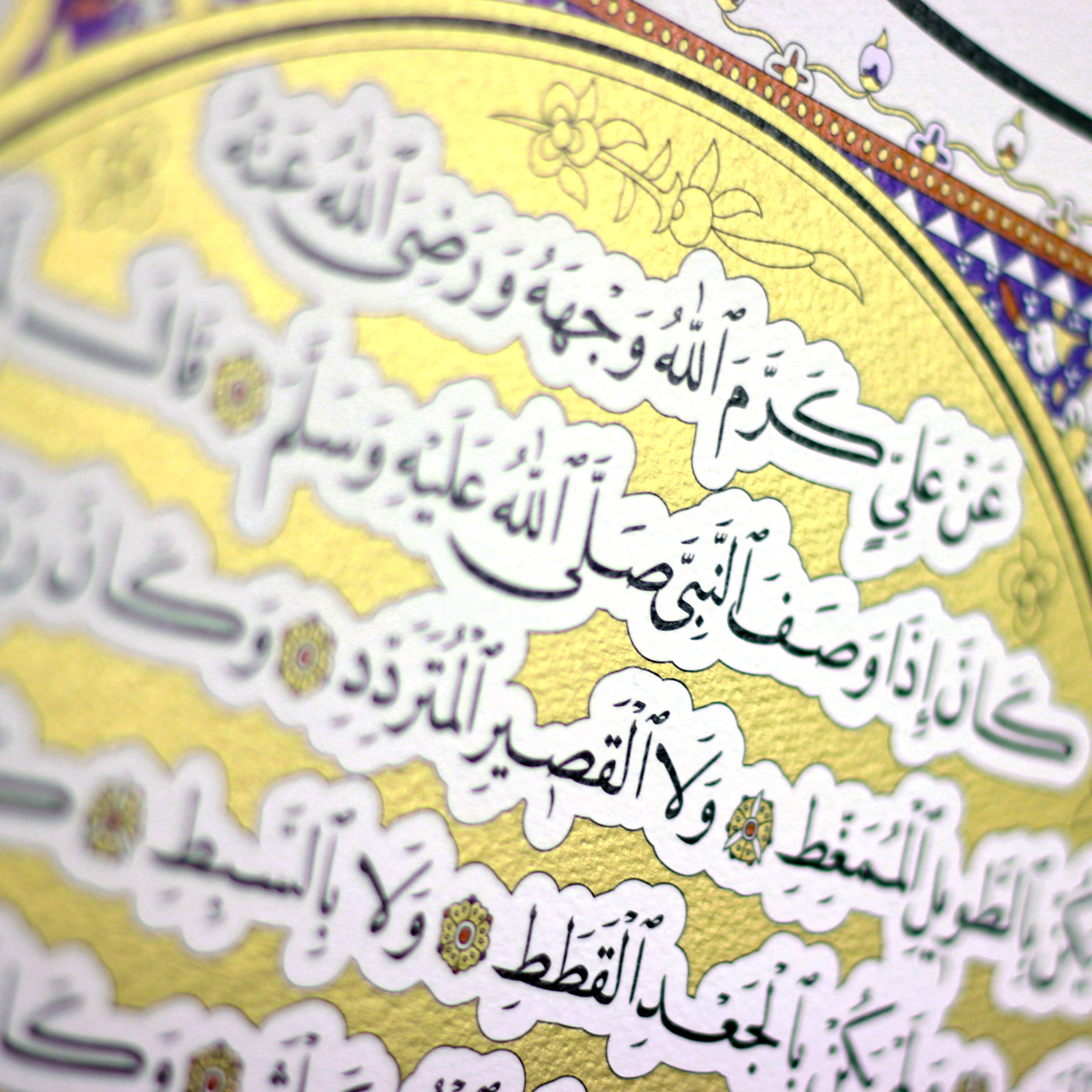 The Noble Hilya Sharif