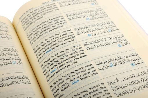THE NOBLE QURAN (RIYADHUL QURAN-ENGLISH/ARABIC)