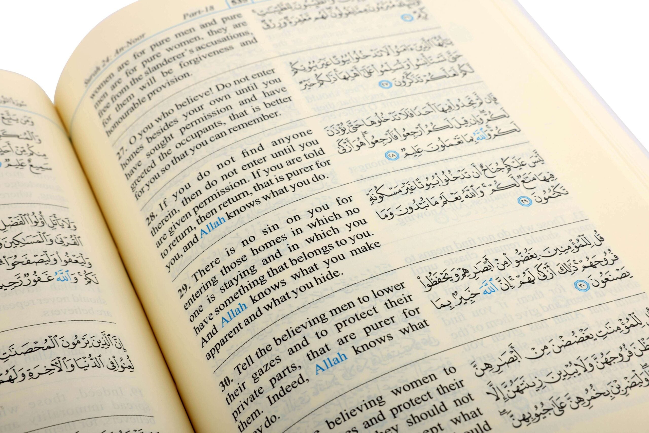 THE NOBLE QURAN (RIYADHUL QURAN-ENGLISH/ARABIC)