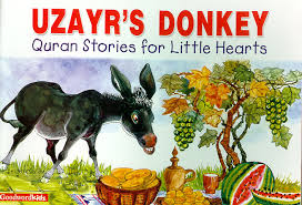 Uzayr's Donkey