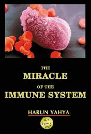 Miracle of Immune System