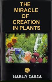 The Miracle of Creation in Plants
