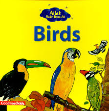 Allah Made Them All: Birds