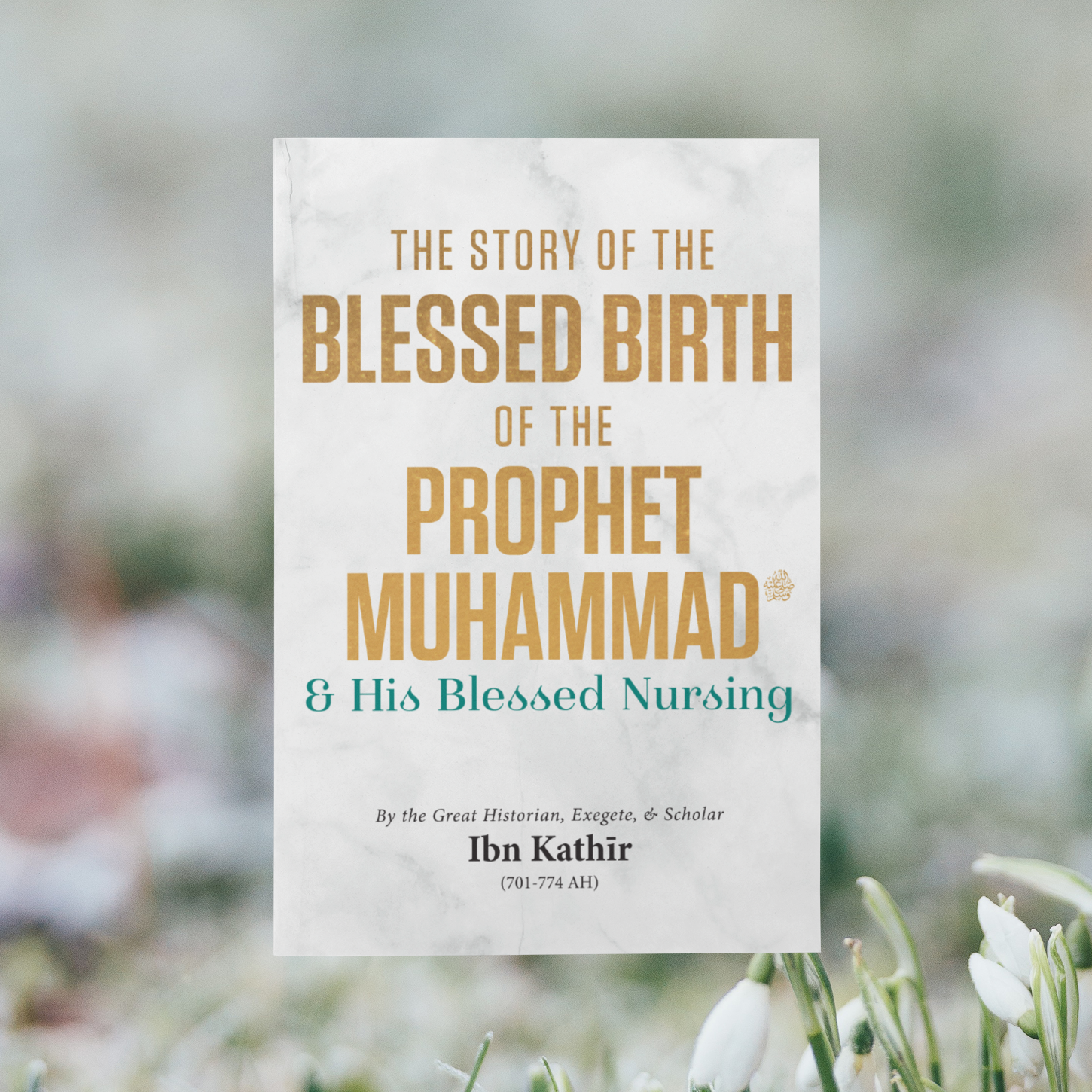The Story of the Blessed Birth of the Prophet Muhammad ﷺ and his Blessed Nursing (Paperback)