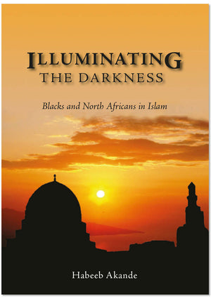 Illuminating the Darkness